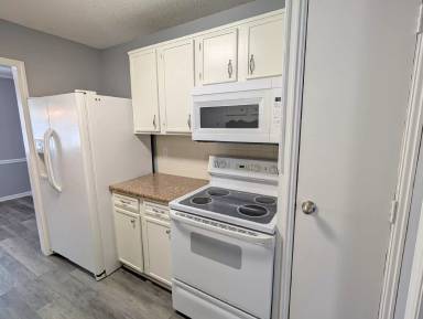 Main picture of 3129 Burke Mill Ct