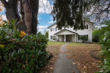 Main picture of 1350 Mitchell Ave
