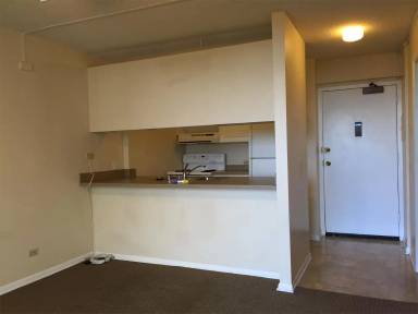 Main picture of The Highlander