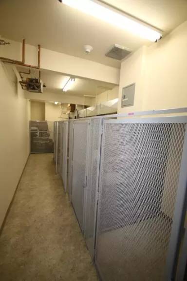 Main picture of 1126 E 16th Ave