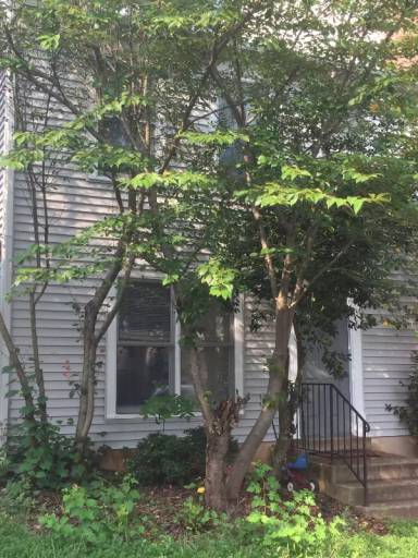 Main picture of 10398 Rapidan Ln