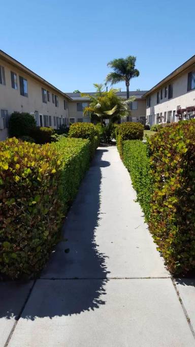 Main picture of Kona Palms Apartments