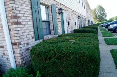Main picture of 5265 College Corner Pike