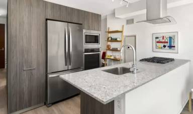 Main picture of 240 East Illinois Residences