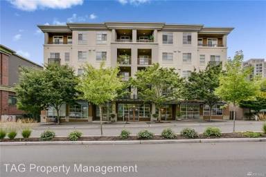 Main picture of Belle Arts Apartments