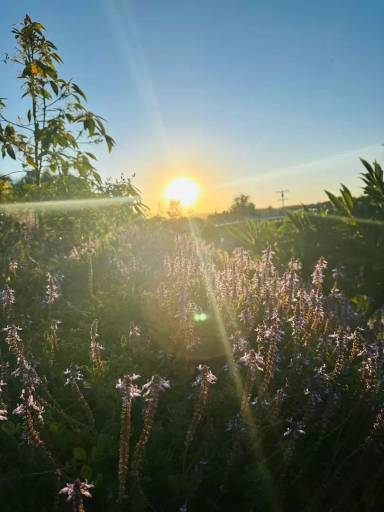 Main picture of 1143 Hackamore Rd