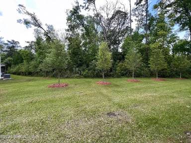 Main picture of 266 Aralia Ln