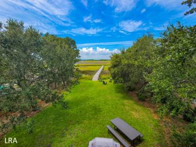 Main picture of 1009 N New River Dr