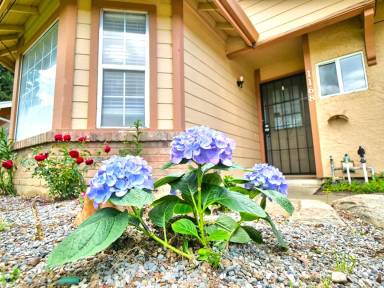 Main picture of 1168 Pebblewood Dr