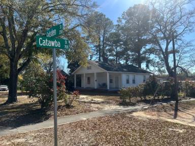 Main picture of 219 Gadsden St