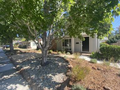 Main picture of 479 Waverley St