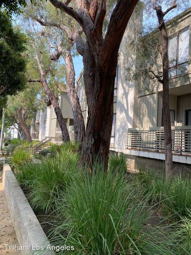 Main picture of 2909 Arizona Ave