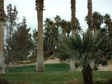 Main picture of 202 Augusta Course Ave