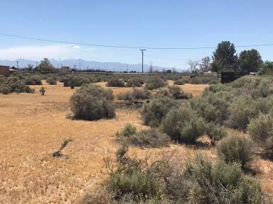 Main picture of 13828 Olema Rd