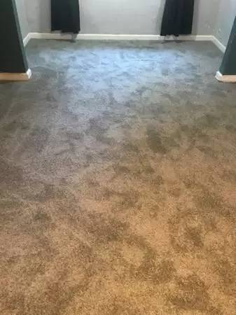 Main picture of 2441 Ocean Pkwy