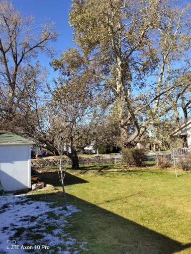 Property view