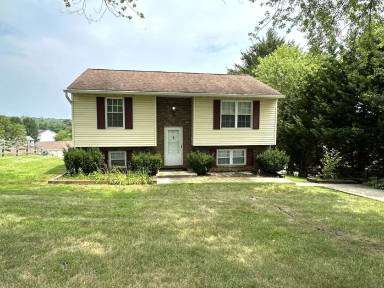 Main picture of 317 Luther Dr
