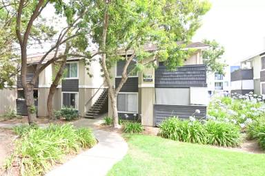 Main picture of 2583 Gimelli Way