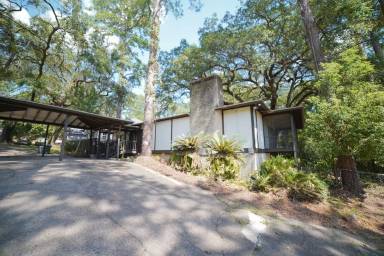 Main picture of 1105 Solana Ave