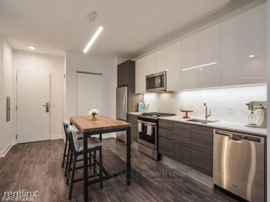 Main picture of 300 W Hubbard St