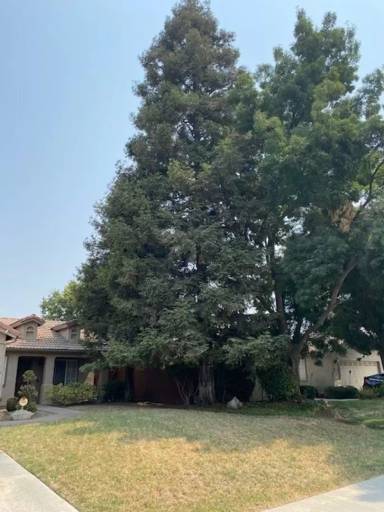 Main picture of 2832 S Teddy St