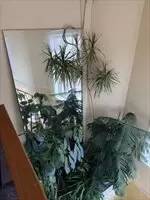 Main picture of 18 Walk Hill St