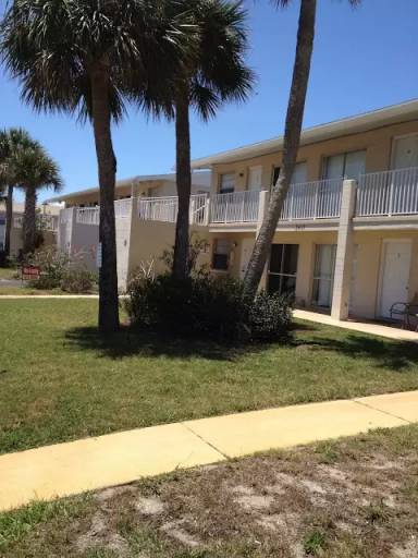 Main picture of BELLAIR PALMS LLC - 29