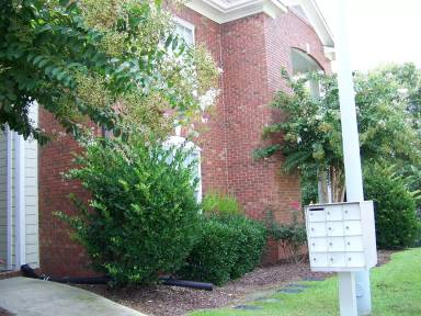 Main picture of 513 Meadowland Ct