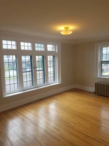 Main picture of 856 Amherst St