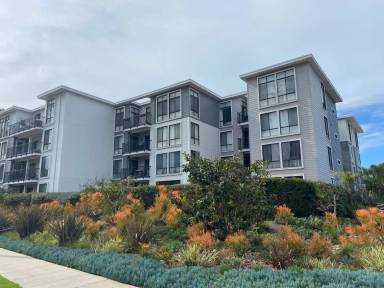 Main picture of 8110 El Paseo Grande