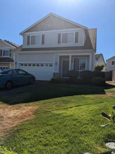 Main picture of Silver Mist