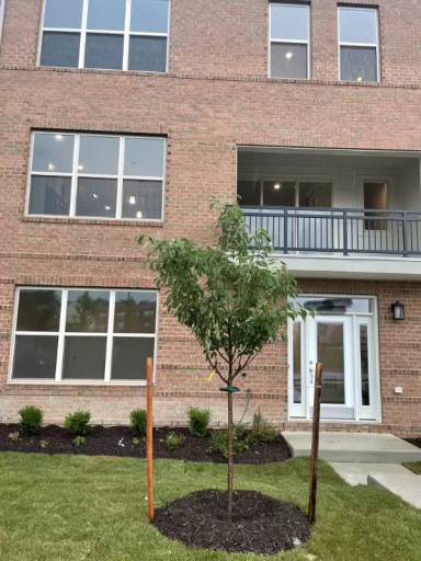 Main picture of 5406 Woodyard Rd
