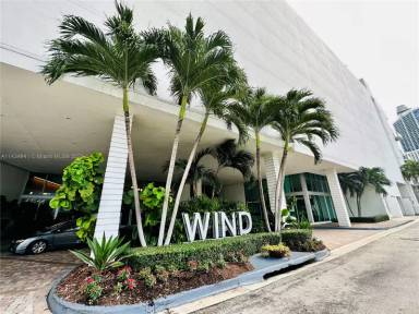 Main picture of The Wind