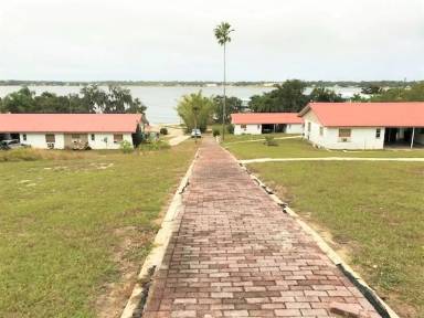 Main picture of 241 Palm Ave