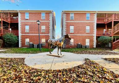Main picture of 4200 Serenity Hope Dr