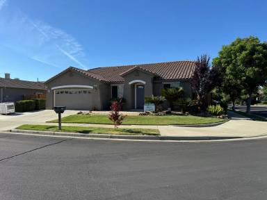 Main picture of 531 Coconut St