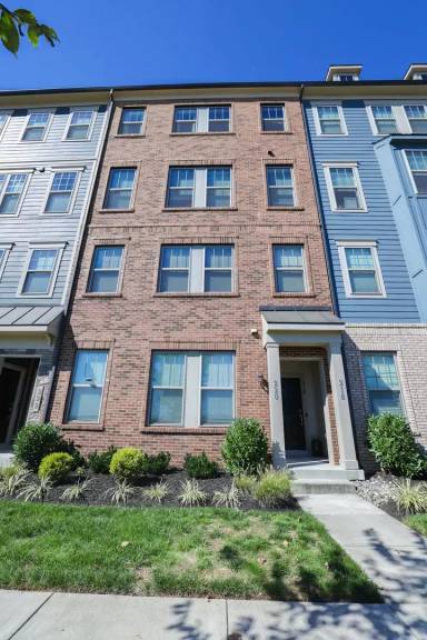 Main picture of 220 Petite Sirah Ter SE