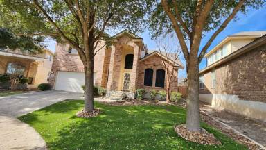 Main picture of 5707 Sugarberry