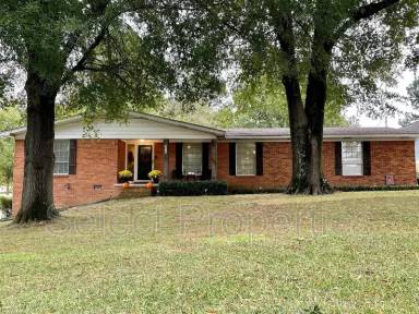 Main picture of 316 Marzee Ann Dr