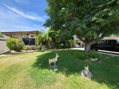 Main picture of 11414 Starlight Ave