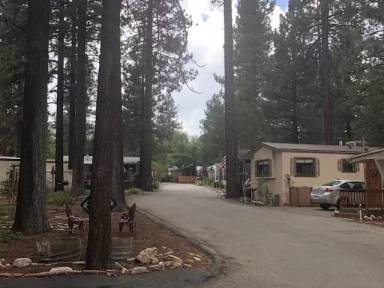Main picture of 475 Thrush Dr