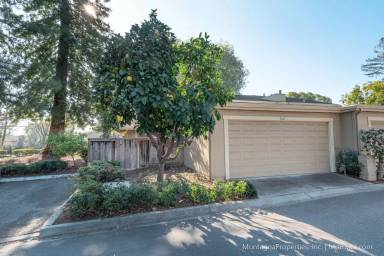 Main picture of 1367 Arbor Park Dr