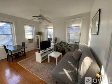 Main picture of 175 Hemenway St