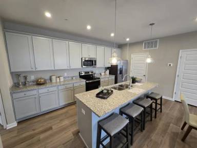Main picture of 4101 Next Level Trce