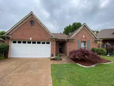 Main picture of 10101 Woodland Birch Cv