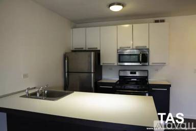 Main picture of 1544 W Glenlake Ave Apartments