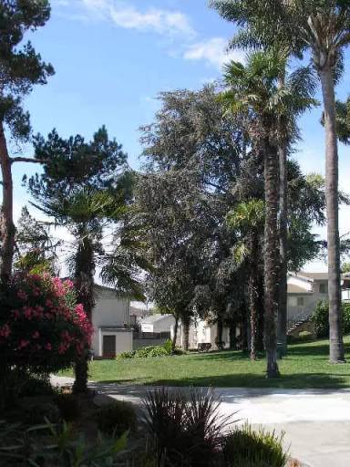 Main picture of Fairmount Palms