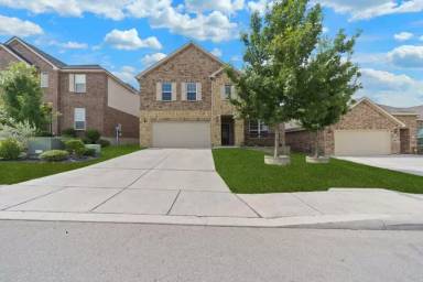 Main picture of 12828 Laurel Brush