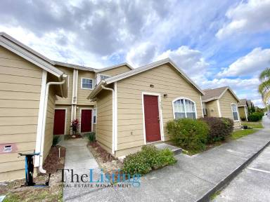 Main picture of 337 Coconut Palm Way