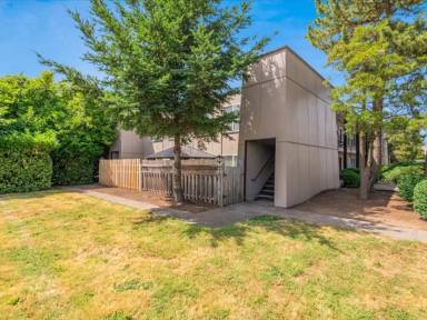 Main picture of King Manor Apartments